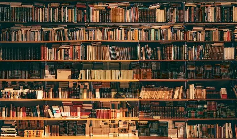مكتبة توضيحية